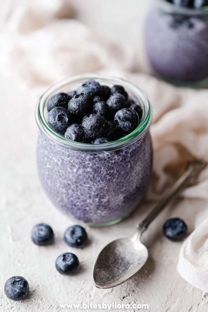 blueberry chia pudding