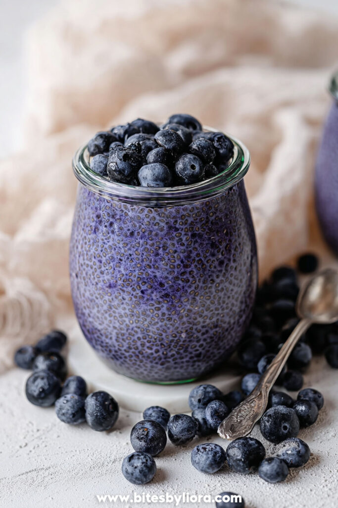 blueberry chia pudding