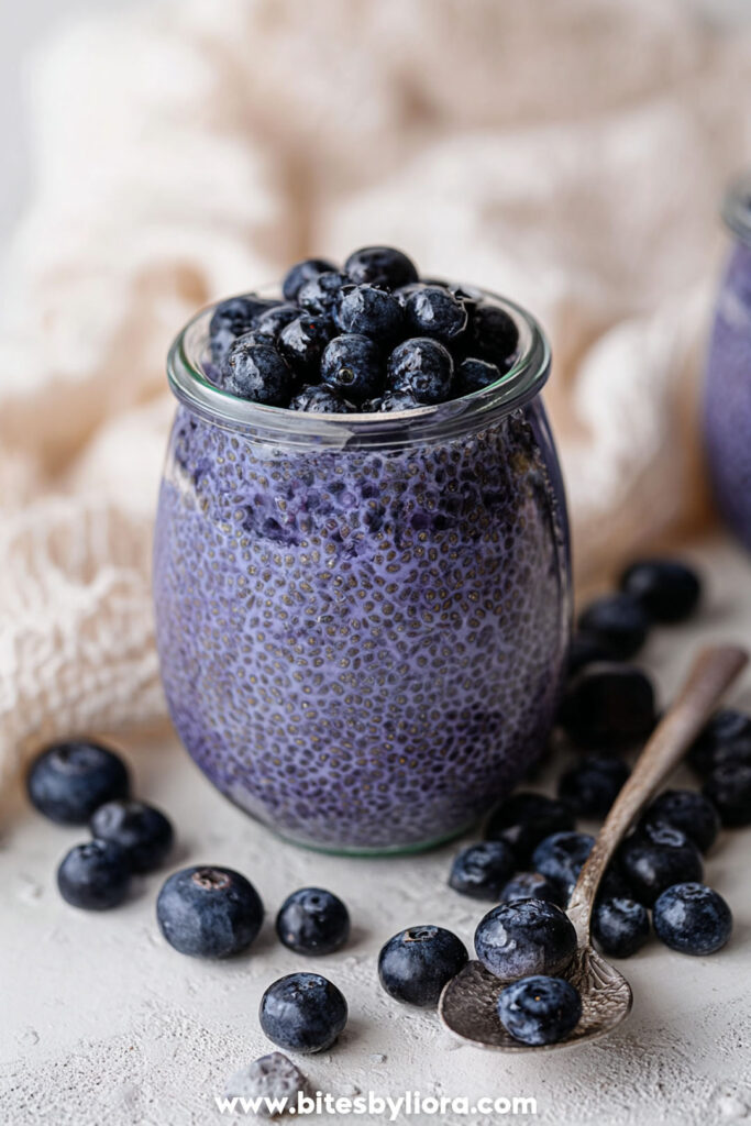 blueberry chia pudding