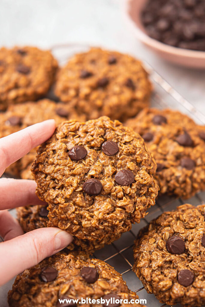 Healthy Lactation Cookies
